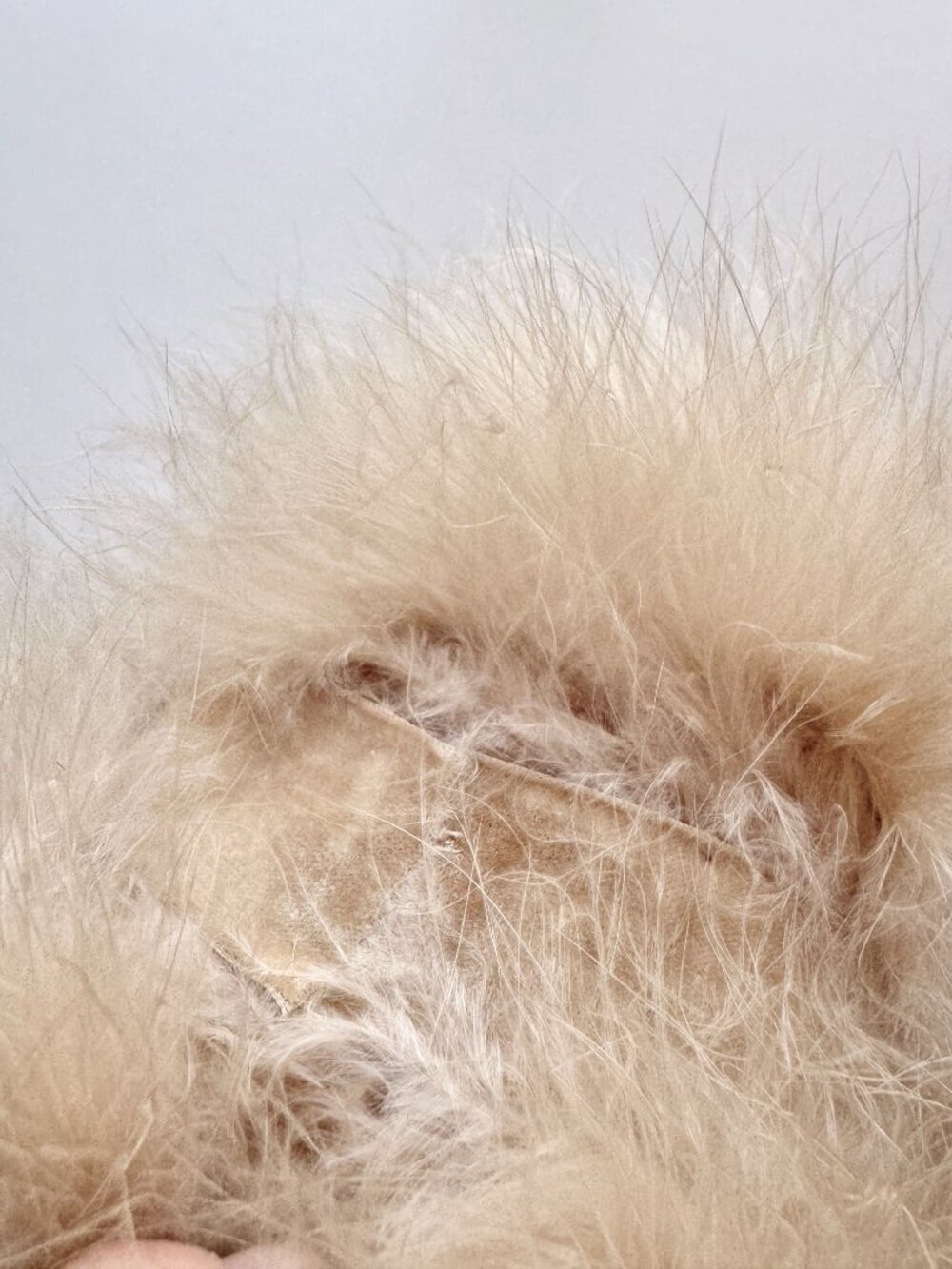 Vintage Beige Ostrich Feather Velvet Bow Wool Felt Cloche Hat - Picture 11 of 16